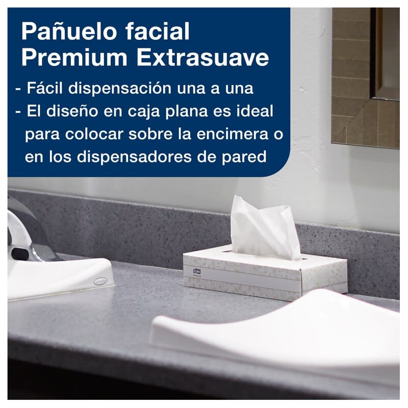 Tradineur - Caja de 80 pañuelos blancos de papel, doble capa, extra suaves,  pañuelos faciales, resfriados, limpieza del hogar, 2